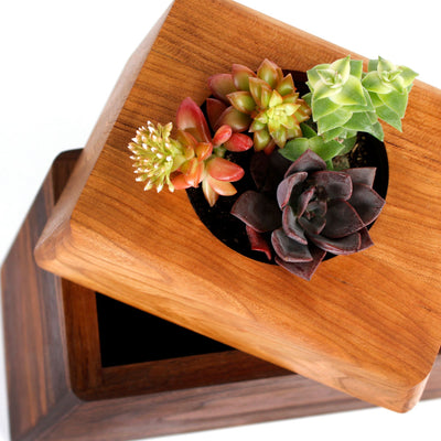 The Living Urn Planter™ - Akers James